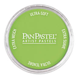 PanPastel Artist Painting Pastel - Yellow Green, 690.5