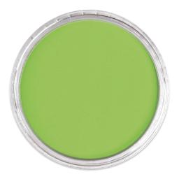 PanPastel Artist Painting Pastel - Yellow Green, 690.5, lid off