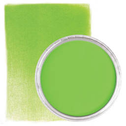 PanPastel Artist Painting Pastel - Yellow Green, 690.5, pan and swatch