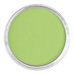 PanPastel Artist Painting Pastel - Yellow Green Light, 690.7, lid off