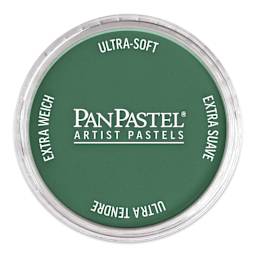 PanPastel Artists’ Painting Pastel - Phthalo Green Shade, 620.3