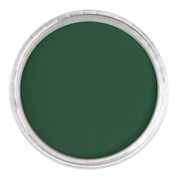 PanPastel Artists’ Painting Pastel - Phthalo Green Shade, 620.3, lid off