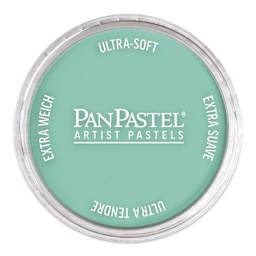 PanPastel Artist Painting Pastel - Phthalo Green Light, 620.7