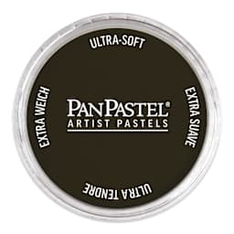 PanPastel Artists’ Painting Pastel - Raw Umber Extra Dark, 780.1