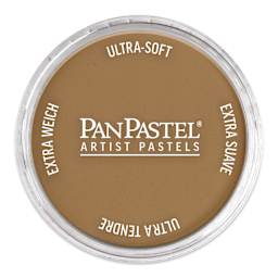PanPastel Artist Painting Pastel - Raw Sienna Shade, 710.3