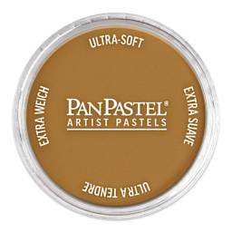 PanPastel Artist Painting Pastel - Raw Sienna, 710.5