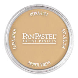 PanPastel Artist Painting Pastel - Raw Sienna Light, 710.7