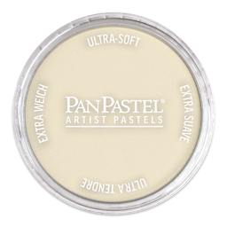 PanPastel Artist Painting Pastel - Raw Sienna Tint, 710.8