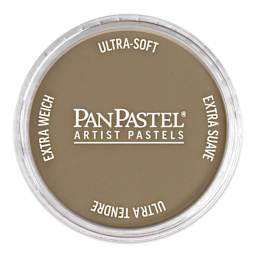 PanPastel Artist Painting Pastel - Raw Umber Light, 780.7