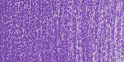 Holbein Artists' Soft Pastel - Violet 1 swatch