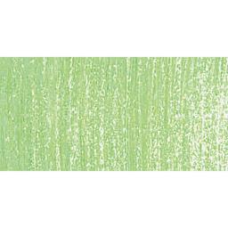 Blick Artists' Soft Pastel - Grass Green 2 swatch