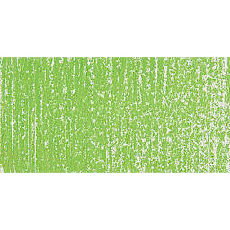 Blick Artists' Soft Pastel - Lizard Green 1 swatch