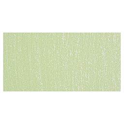 Blick Artists' Soft Pastel - Sap Green 1 swatch