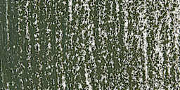Mount Vision Soft Pastel - Dark Earth Green 701 swatch