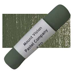 Mount Vision Handmade Pastel - Warm Greenish Gray 170 pastel and swatch