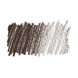 Caran d'Ache Pastel Pencil - Warm Earth 70% swatch