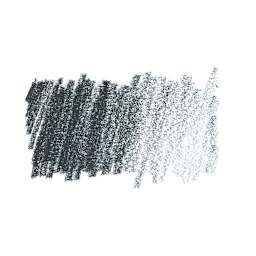 Caran d'Ache Pastel Pencil - Grayish Black swatch