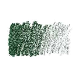 Caran d'Ache Pastel Pencil - Dark Green swatch