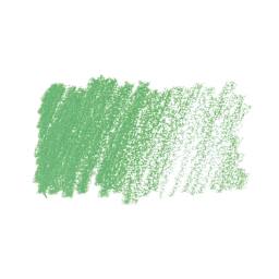 Caran d'Ache Pastel Pencil - Chromium Oxide Green swatch
