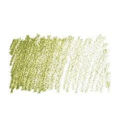 Caran d'Ache Pastel Pencil - Light Reseda swatch