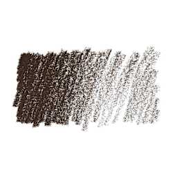 Caran d'Ache Pastel Pencil - Dark Sepia swatch