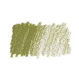 Caran d'Ache Pastel Pencil - Olive Brown swatch