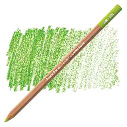 Caran d'Ache Pastel Pencil - Mid Moss Green 10 pencil and swatch