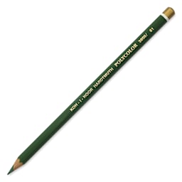 Koh-I-Noor Polycolor Dry Color Drawing Pencil - Sap Green 61
