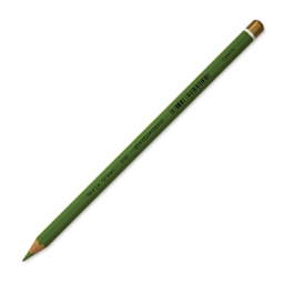 Koh-I-Noor Polycolor Dry Color Drawing Pencil - Apple Green 62, side