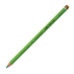 Koh-I-Noor Polycolor Dry Color Drawing Pencil - Bice Green 22, side