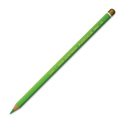 Koh-I-Noor Polycolor Dry Color Drawing Pencil - Bice Green 22