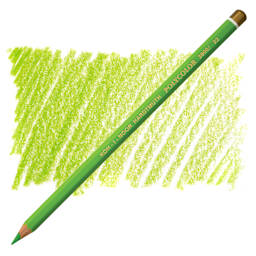 Koh-I-Noor Polycolor Dry Color Drawing Pencil - Bice Green 22, swatch and pencil