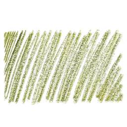 Derwent Graphitint Pencil - Meadow swatch