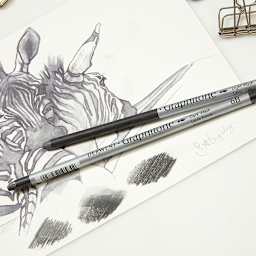 Derwent Graphitone Water Soluble Pencils - Top view of drawing of zebras with pencils