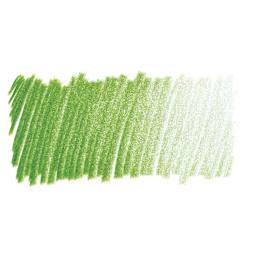 Lyra Rembrandt Polycolor Premium Oil-Based Colored Pencil - Chrome Green swatch