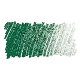 Lyra Rembrandt Polycolor Premium Oil-Based Colored Pencil - Juniper Green swatch