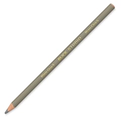 Blick Studio Artists' Colored Pencil - Warm Grey 5