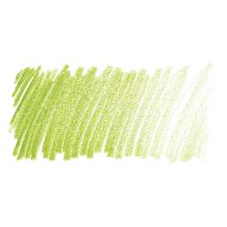 Blick Studio Artists' Colored Pencil - Apple Green swatch