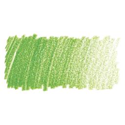 Blick Studio Artists' Colored Pencil - May Green swatch