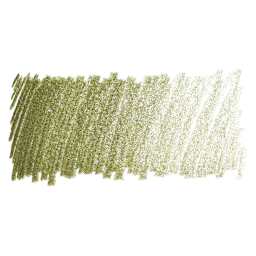 Blick Studio Artists' Colored Pencil - Dark Olive Green swatch