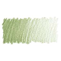 Blick Studio Artists' Colored Pencil - Olive Green Light swatch