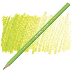 Blick Studio Artists' Colored Pencil - Bice Green pencil and swatch