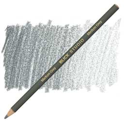 Blick Studio Artists' Colored Pencil - Medium Grey pencil and swatch