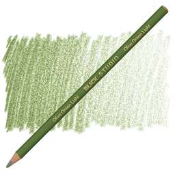 Blick Studio Artists' Colored Pencil - Olive Green Light pencil and swatch