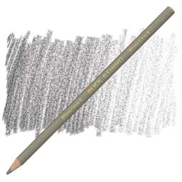 Blick Studio Artists' Colored Pencil - Warm Grey 5 pencil and swatch