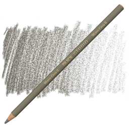 Blick Studio Artists' Colored Pencil - Warm Grey 6 pencil and swatch