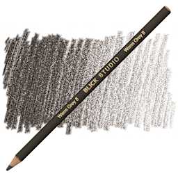 Blick Studio Artists' Colored Pencil - Warm Grey 8 pencil and swatch