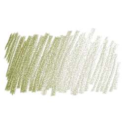 Derwent Coloursoft Pencil - Lincoln Green swatch