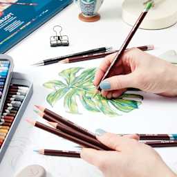 Derwent Coloursoft Pencils (in use drawing a leaf)
