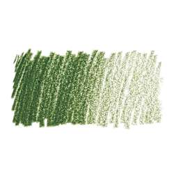 Caran d'Ache Luminance Colored Pencil - Moss Green swatch